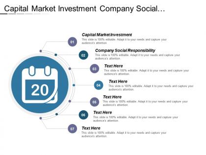 Capital market investment company social responsibility decision making technique cpb