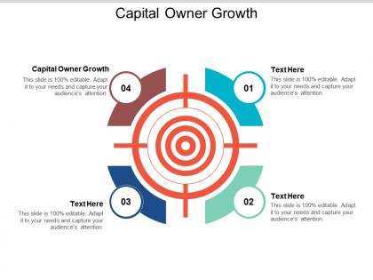 Capital owner growth ppt powerpoint presentation outline picture cpb