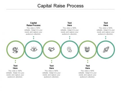 Capital raise process ppt powerpoint presentation show information cpb