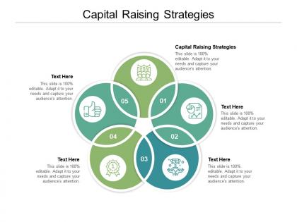 Capital raising strategies ppt powerpoint presentation layouts good cpb