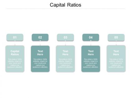 Capital ratios ppt powerpoint presentation professional example file cpb