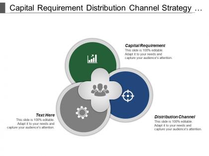 Capital requirement distribution channel strategy formation industry environment