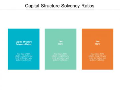 Capital structure solvency ratios ppt powerpoint presentation show layouts cpb
