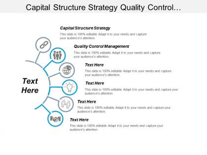 Capital structure strategy quality control management budgeting planning cpb