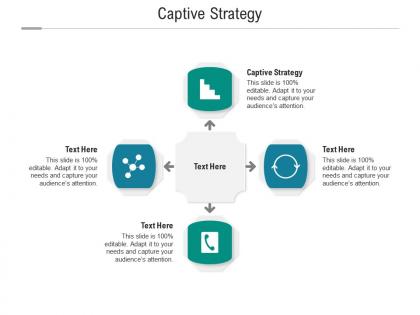 Captive strategy ppt powerpoint presentation professional background image cpb
