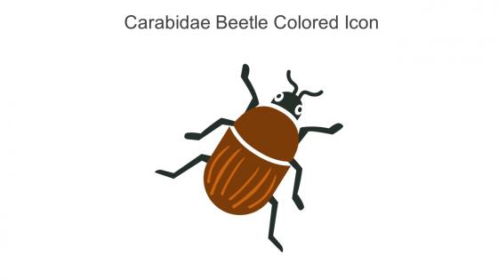 Carabidae Beetle Colored Icon In Powerpoint Pptx Png And Editable Eps Format