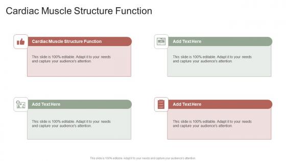 Cardiac Muscle Structure Function In Powerpoint And Google Slides Cpb