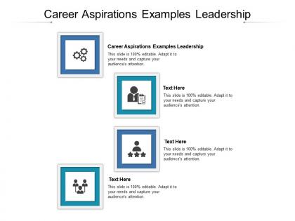 Career aspirations examples leadership ppt powerpoint presentation infographic template format cpb