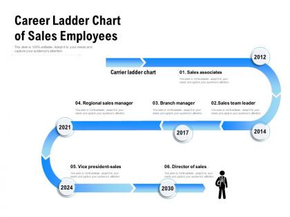 Career ladder chart of sales employees