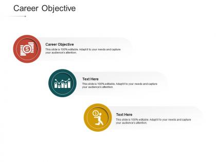 Career objective ppt powerpoint presentation styles example file cpb