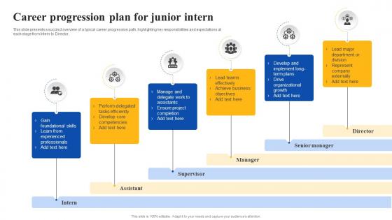 Career Progression Plan For Junior Intern