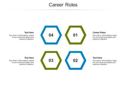 Career roles ppt powerpoint presentation styles example introduction cpb