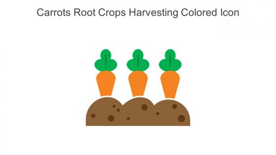 Carrots Root Crops Harvesting Colored Icon In Powerpoint Pptx Png And Editable Eps Format