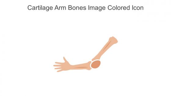Cartilage Arm Bones Image Colored Icon In Powerpoint Pptx Png And Editable Eps Format