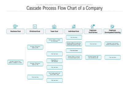 Cascade process flow chart of a company