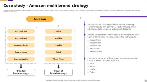 Case Study Amazon Multi Brand Extension Strategy To Diversify Business Revenue MKT SS V