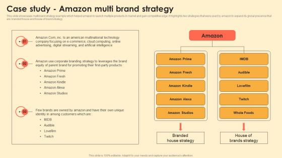 Case Study Amazon Multi Brand Strategy Digital Brand Marketing MKT SS V