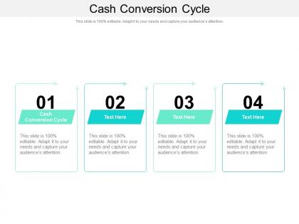 Cash conversion cycle ppt powerpoint presentation file formats cpb