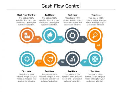Cash flow control ppt powerpoint presentation file skills cpb