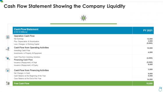 Cash flow statement showing the company liquidity