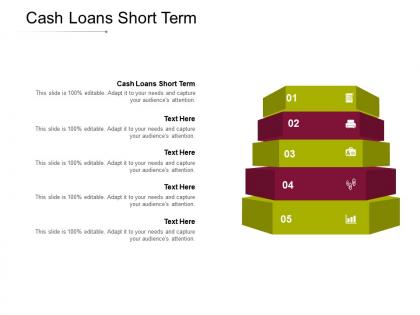 Cash loans short term ppt powerpoint presentation summary example cpb