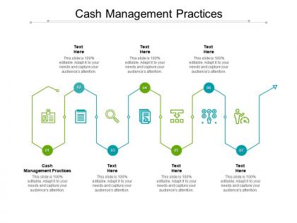 Cash management practices ppt powerpoint presentation outline demonstration cpb