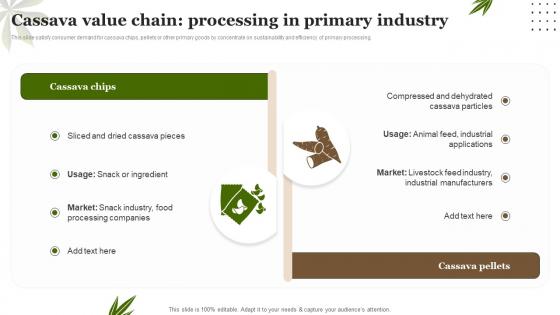 Cassava Value Chain Processing In Primary Industry