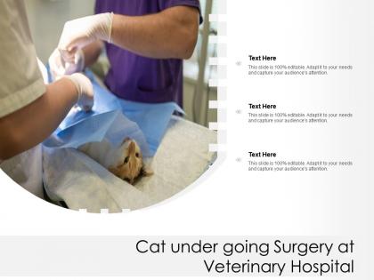Cat under going surgery at veterinary hospital
