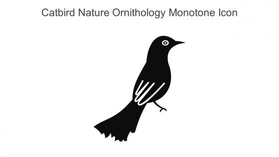 Catbird Nature Ornithology Monotone Icon In Powerpoint Pptx Png And Editable Eps Format
