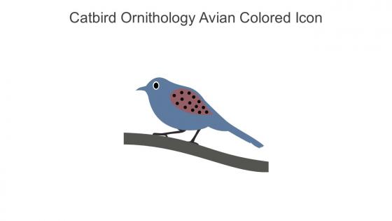 Catbird Ornithology Avian Colored Icon In Powerpoint Pptx Png And Editable Eps Format