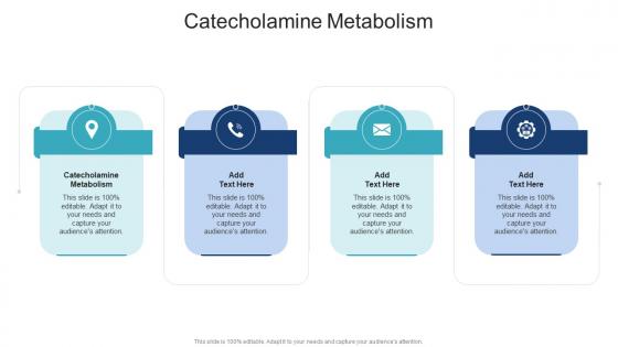 Catecholamine Metabolism In Powerpoint And Google Slides Cpb