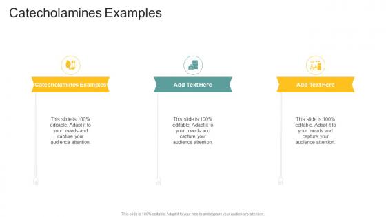 Catecholamines Examples In Powerpoint And Google Slides Cpb