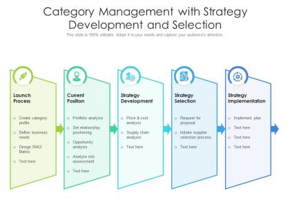 Category management with strategy development and selection