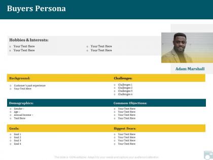 Category share buyers persona demographics ppt powerpoint sample