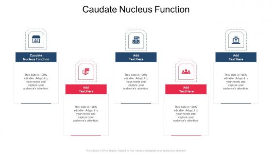 Caudate Nucleus Function In Powerpoint And Google Slides Cpb
