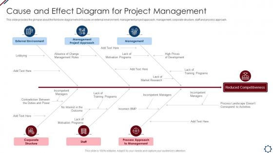 Cause And Effect Diagram For Project Management Professional Tools