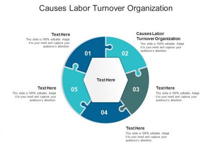Causes labor turnover organization ppt powerpoint presentation outline background designs cpb