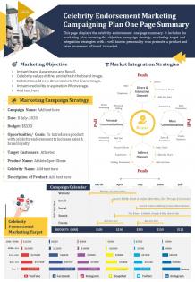 Celebrity endorsement marketing campaigning plan one page summary presentation report infographic ppt pdf document