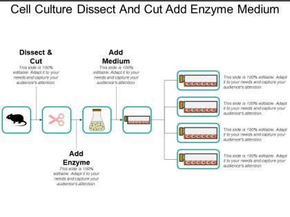 Cell culture dissect and cut add enzyme medium