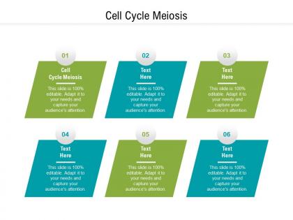 Cell cycle meiosis ppt powerpoint presentation ideas brochure cpb