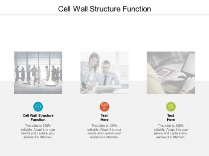 Cell wall structure function ppt powerpoint presentation model information cpb