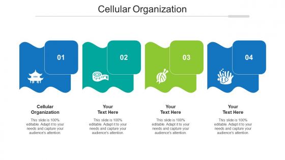 Cellular organization ppt powerpoint presentation portfolio slides cpb