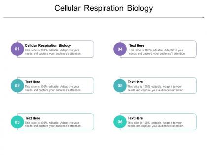 Cellular respiration biology ppt powerpoint presentation file files cpb