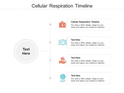 Cellular respiration timeline ppt powerpoint presentation file slideshow cpb