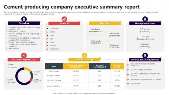Cement Producing Company Executive Summary Report