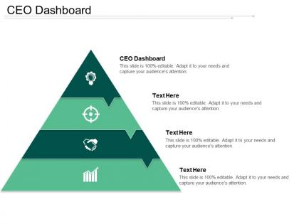 Ceo dashboard ppt powerpoint presentation gallery background image cpb