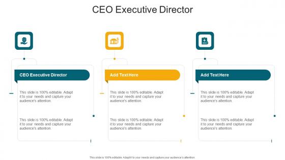CEO Executive Director In Powerpoint And Google Slides Cpb