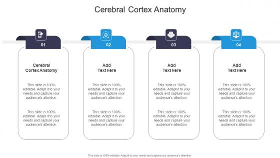 Cerebral Cortex Anatomy In Powerpoint And Google Slides Cpb