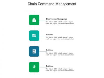 Chain command management ppt powerpoint presentation professional portfolio cpb