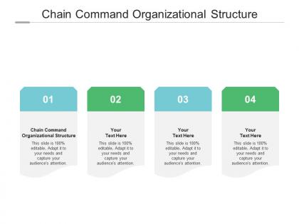 Chain command organizational structure ppt powerpoint presentation infographics gridlines cpb
